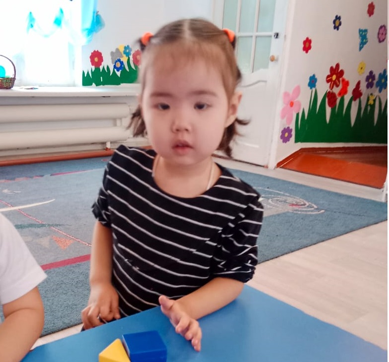 Ұйымдастырылған іс-әрекеті: Сенсорика