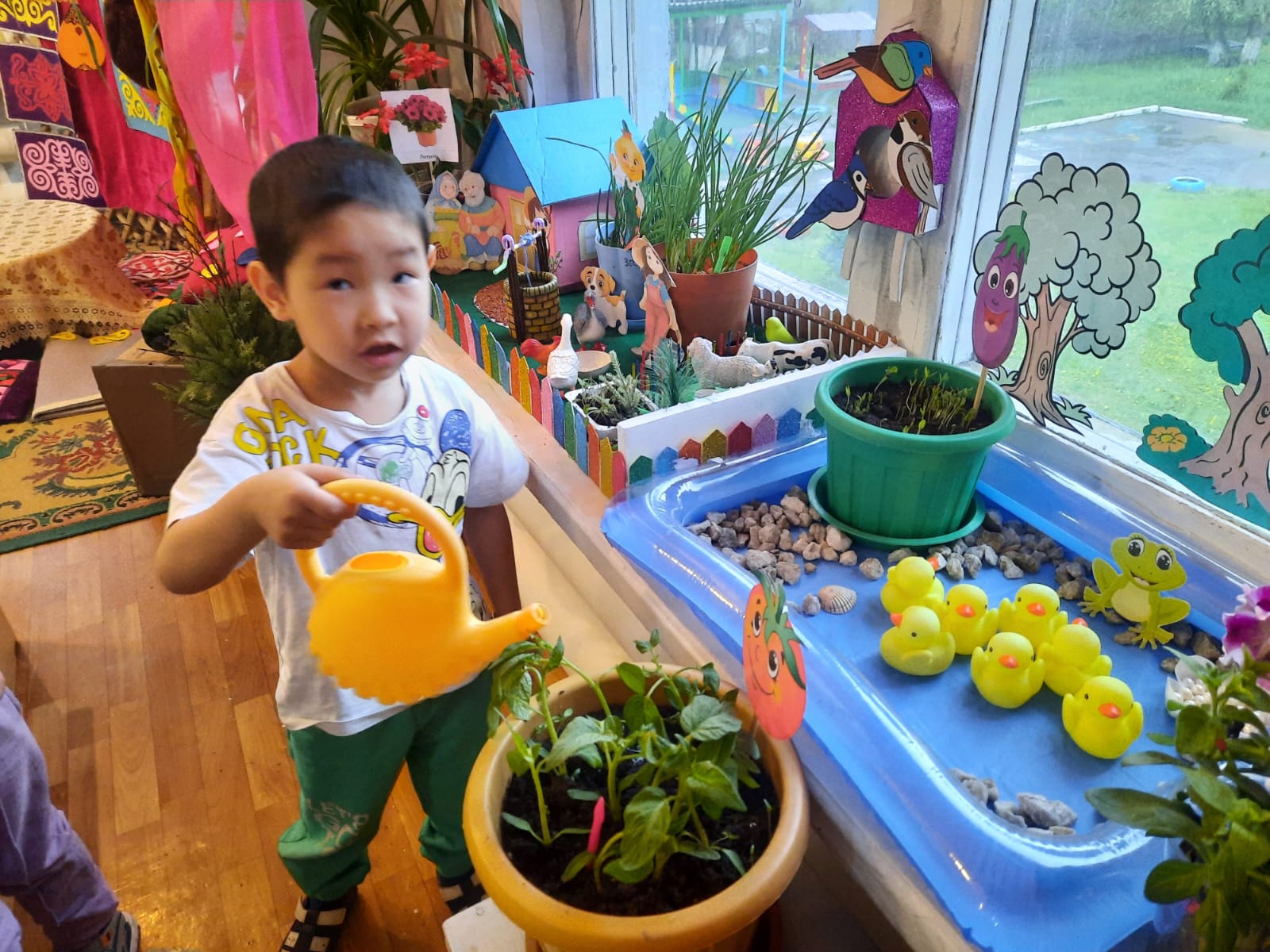 Байқау «Терезедегі ең үздік көкөніс бағы»